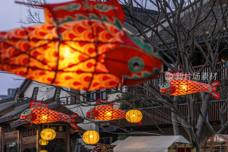 鱼灯笼花灯春节新年节日夜晚上海蟠龙天地