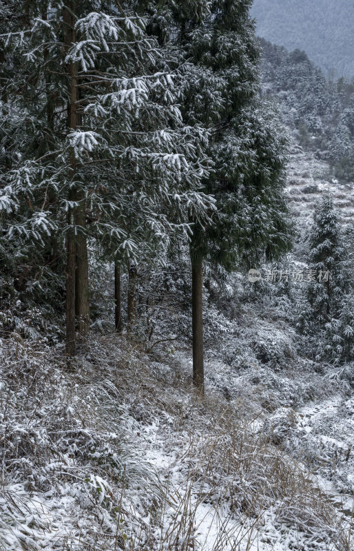 冬天云和梯田景观下雪之后