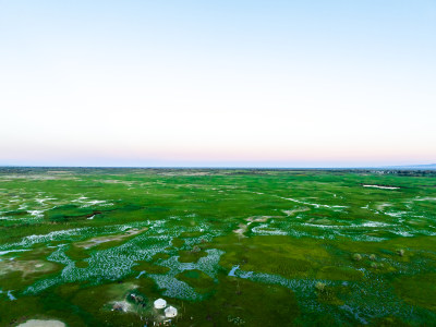 中国新疆阿勒泰湿地