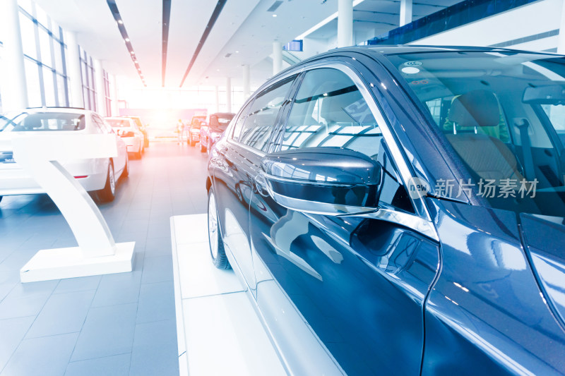 展厅内展示的多辆汽车