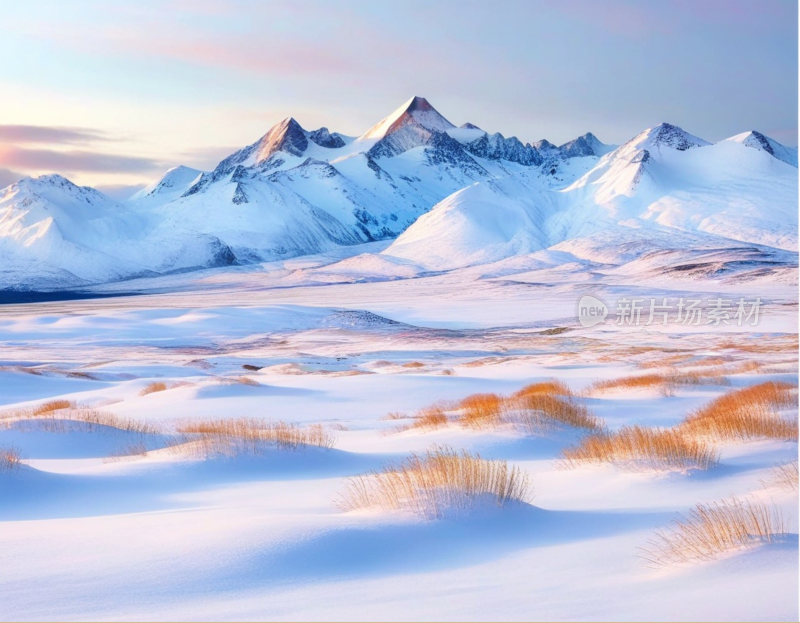 高山雪地