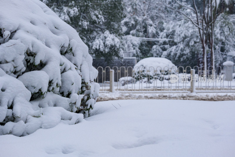 长沙雪景