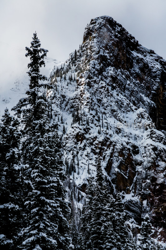 冰雪覆盖的落基山