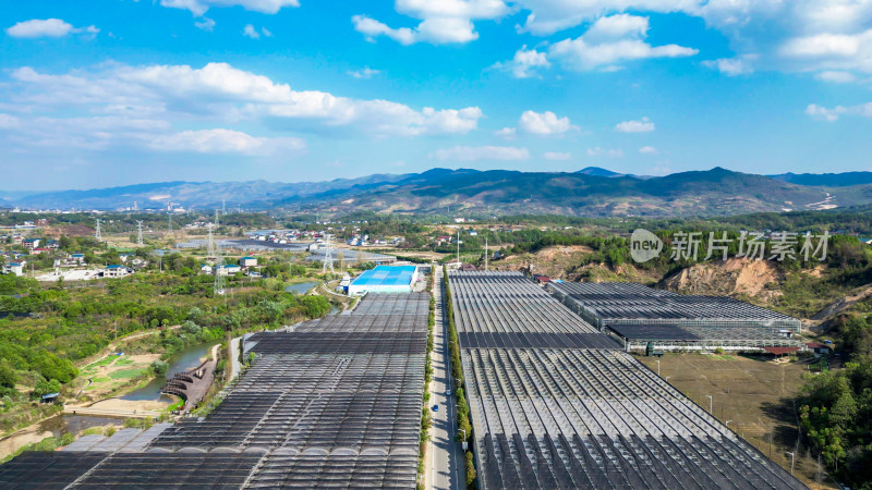 现代农业大棚种植基地航拍