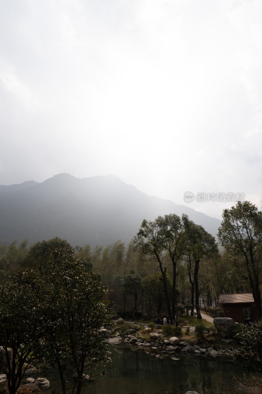 山间树林旁池塘的自然风景