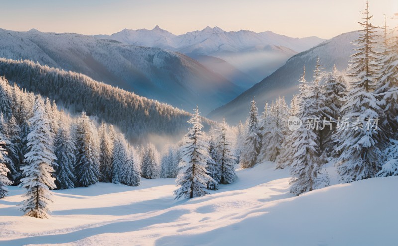 冬季森林白雪覆盖风景