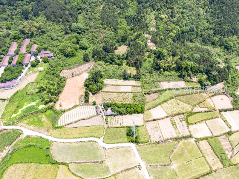 山川丘陵农业种植农田航拍摄影图