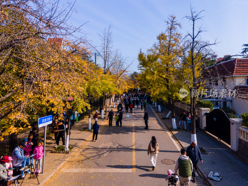 青岛航拍八大关风景区