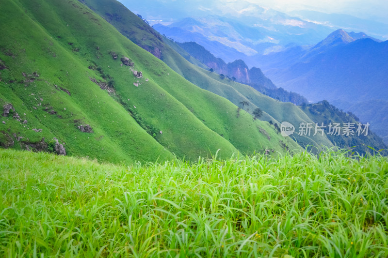 江西武功山高山草甸