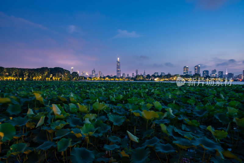 南京玄武湖日落夜景