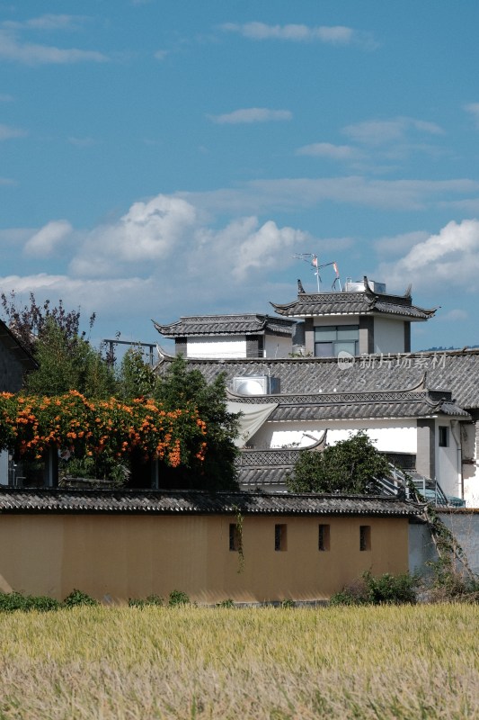 云南大理喜洲田野与乡村景象