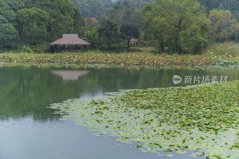 杭州三台山乌龟潭风景