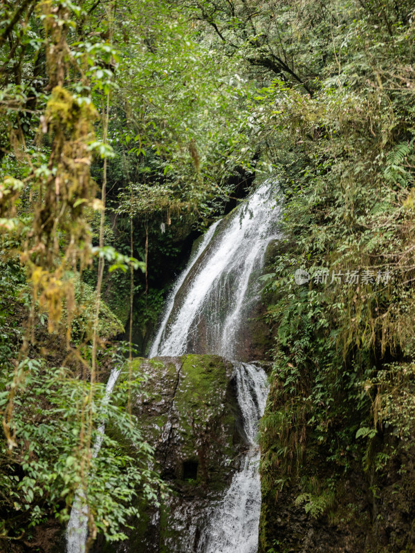 成都都江堰市青城山后山风景