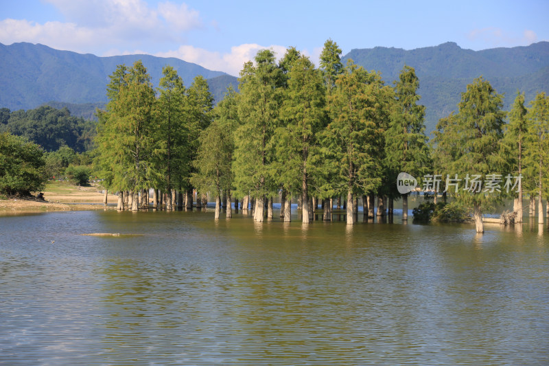 山间湖泊的宁静之美 安徽黄山奇墅湖