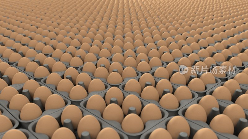鸡蛋 鸡 蛋 蛋类 蛋白质