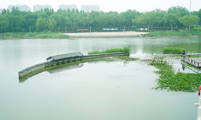 淄博红莲湖公园风光