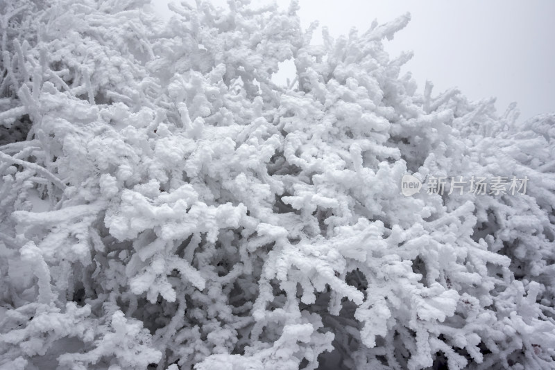 冬天大雪雾凇白色背景