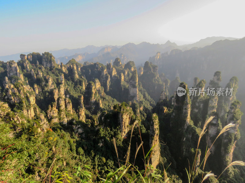 中国湖南张家界国家森林公园旅游风光