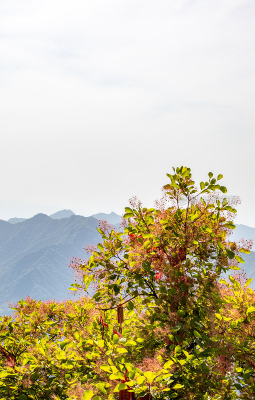 西安秦岭终南山南五台自然风光