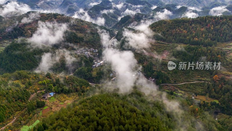 重庆酉阳：白果树边的美景