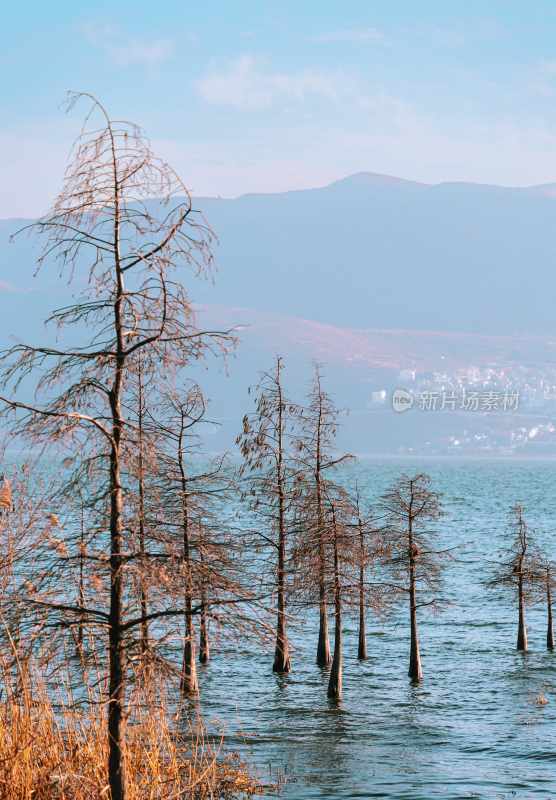 云南旅游大理洱海蒙自弥勒建水元阳梯田景区