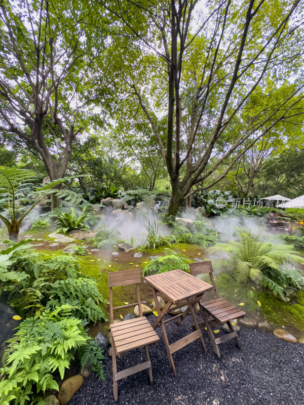 餐厅里的绿色庭院