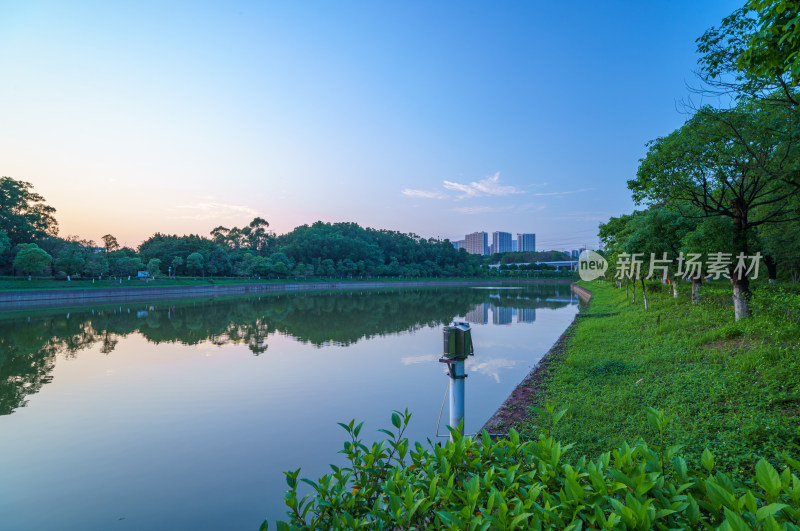 广州番禺金山湖文化公园湖泊树林夕阳落日