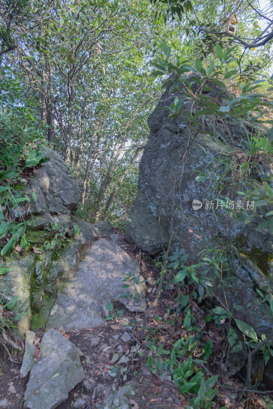 杭州午潮山石阶路景，绿意盎然的登山小径