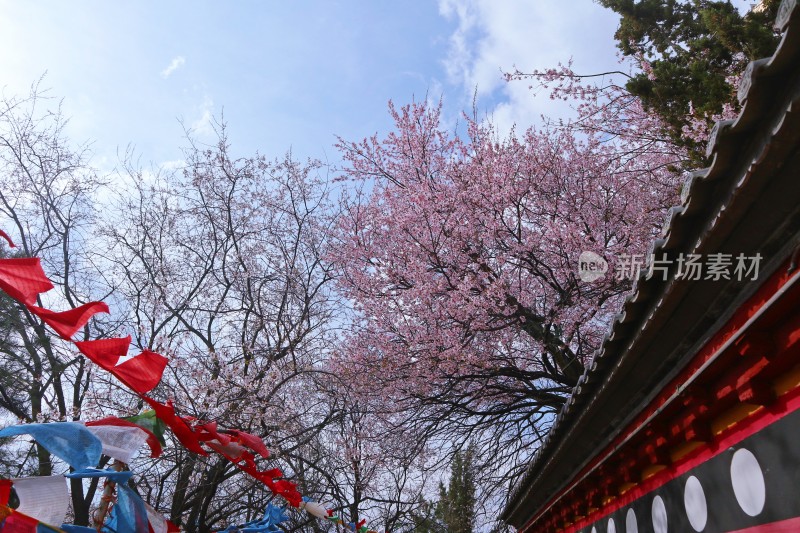 大佛寺建筑