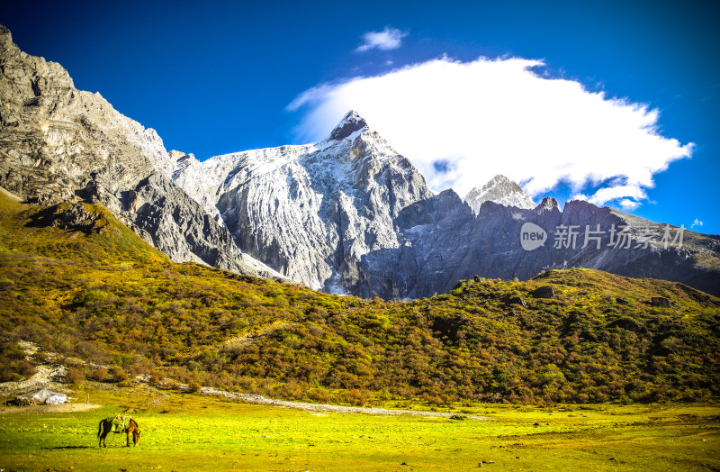 稻城亚丁宏伟雪山风景