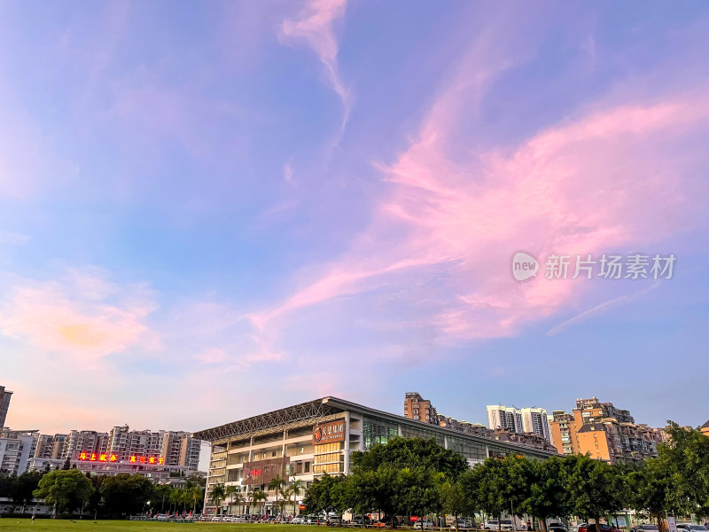 粉云下的城市建筑与绿地风景