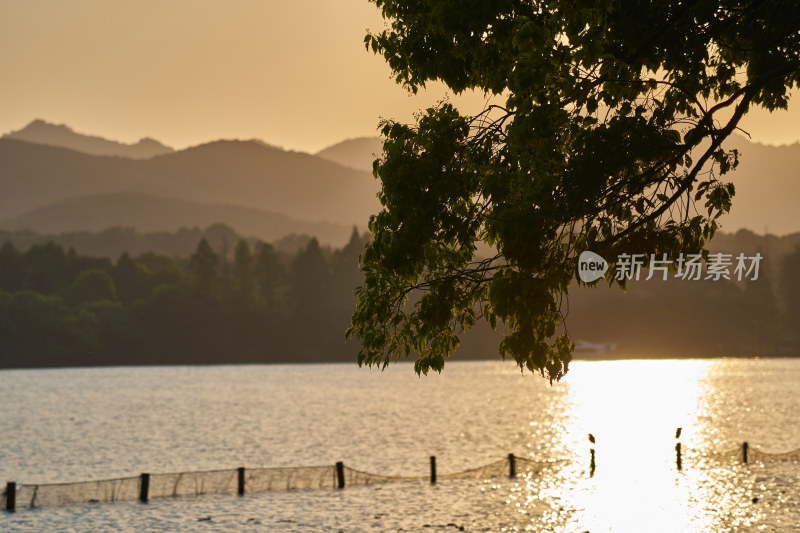 西湖的金色夕阳美景