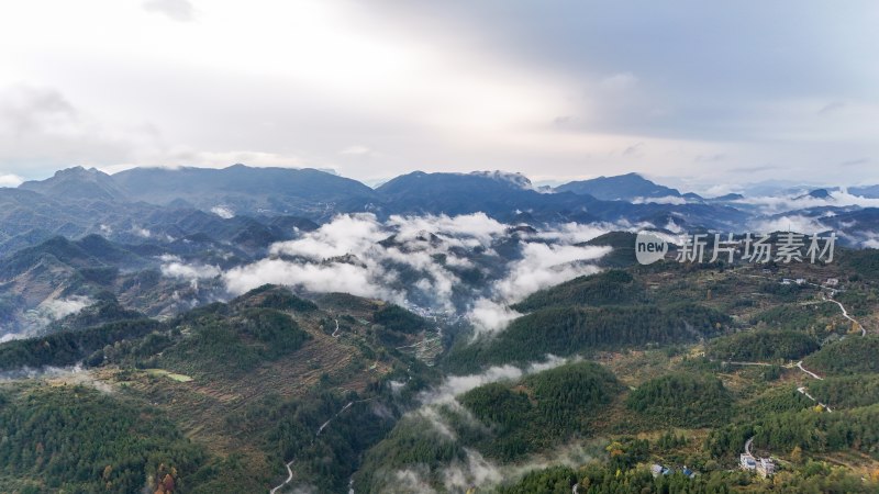 重庆酉阳：白果树边的美景