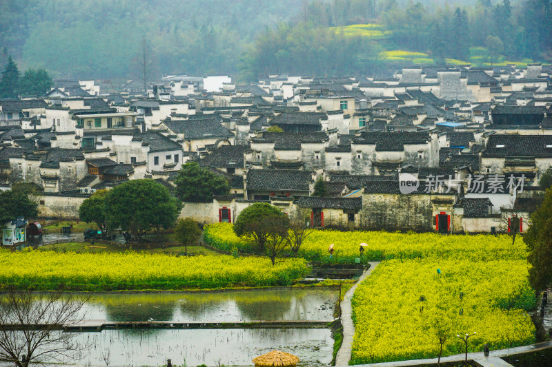 安徽黄山市黟县5A景区雨中的西递古镇