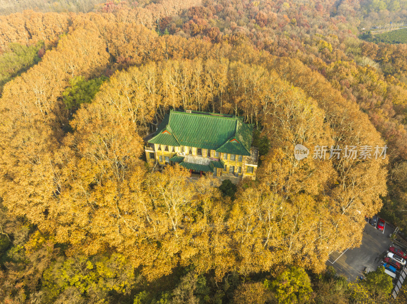 航拍秋季清晨南京中山陵风景区美龄宫