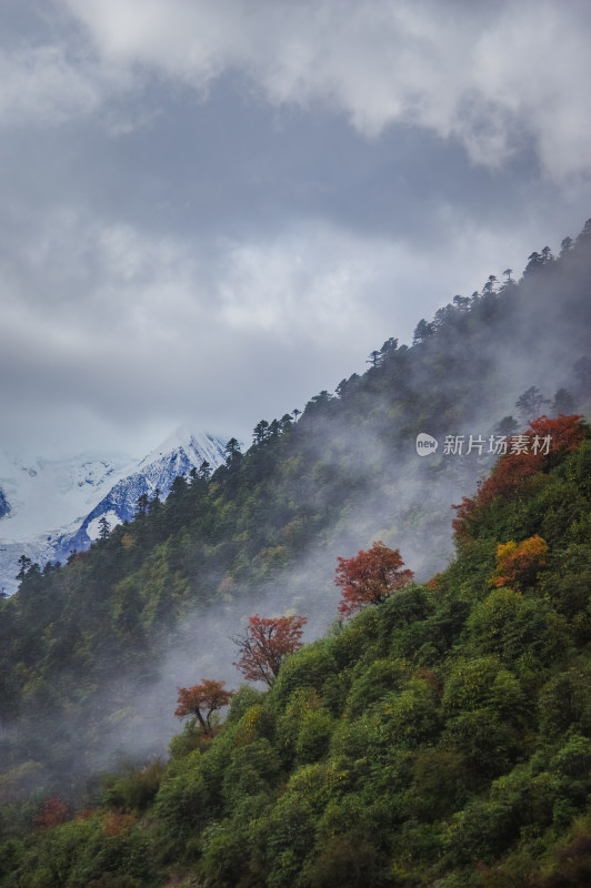 云雾中森林山川自然风景