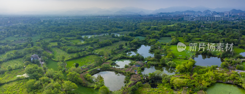 杭州余杭五常湿地夏天风光