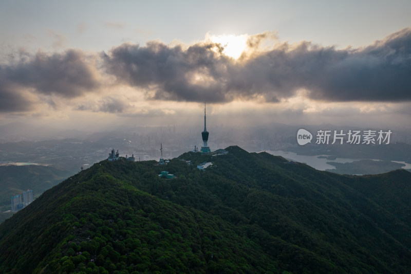 深圳梧桐山