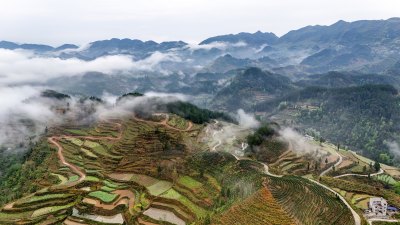 重庆酉阳：青山雾漫别样美