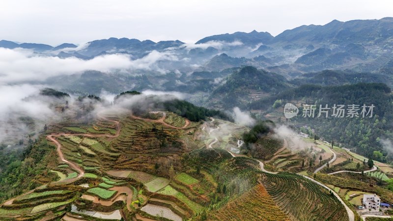 重庆酉阳：青山雾漫别样美