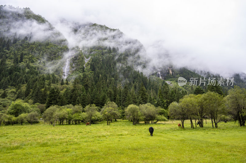 四川四姑娘山双桥沟自然风景