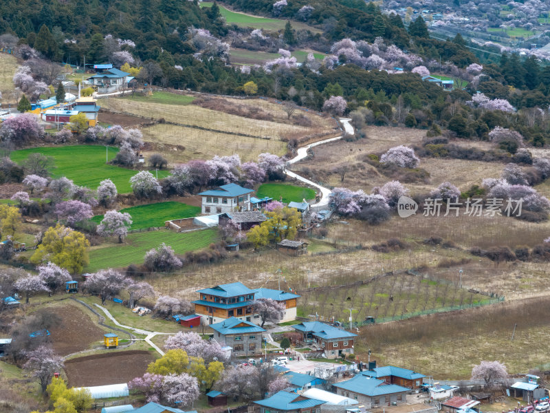 西藏林芝地区藏王故里桃花沟高空航拍