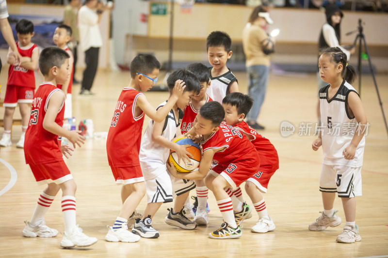 丽水市幼儿园篮球比赛
