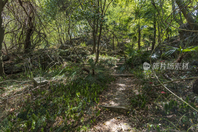 武汉江夏区白云洞景区风景