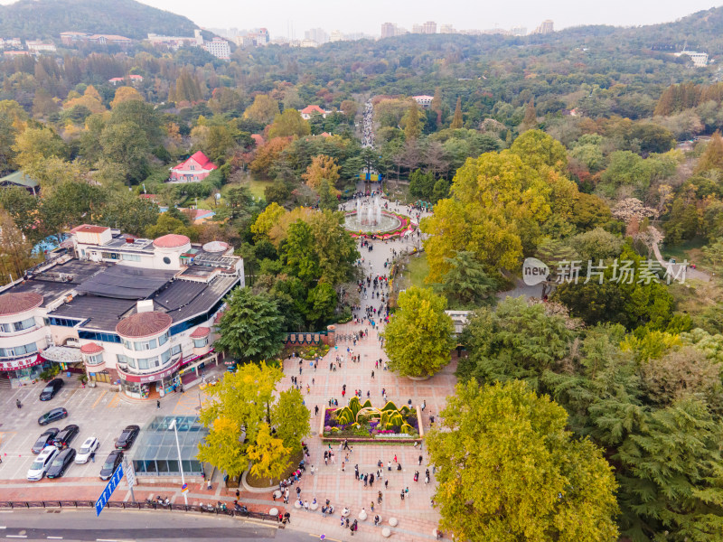 青岛中山公园航拍全景鸟瞰