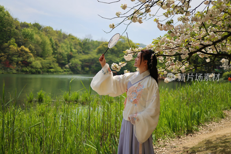 杭州西湖风景区乌龟潭的晚樱和穿汉服的女人