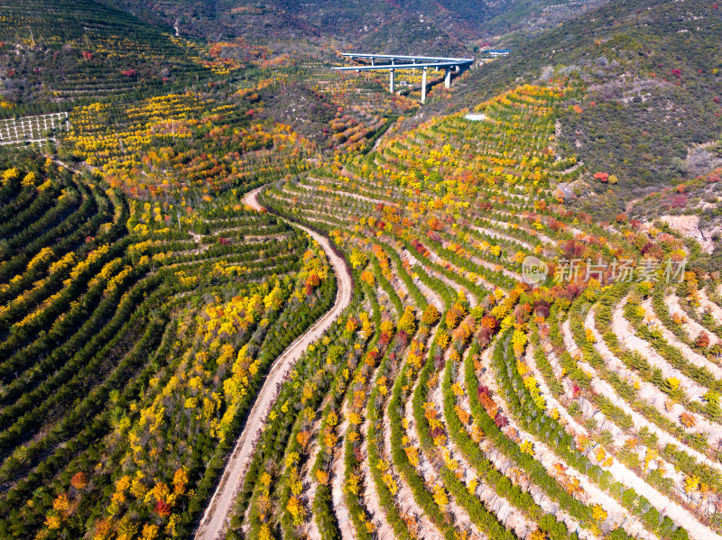 太原天龙山网红桥秋天航拍风景