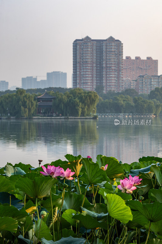 山东济南大明湖风景区景点景观