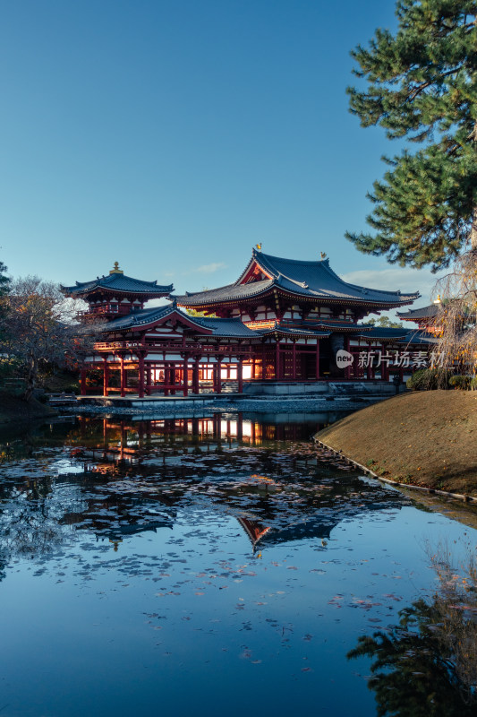 寺庙 日式 庭院 倒影 水面