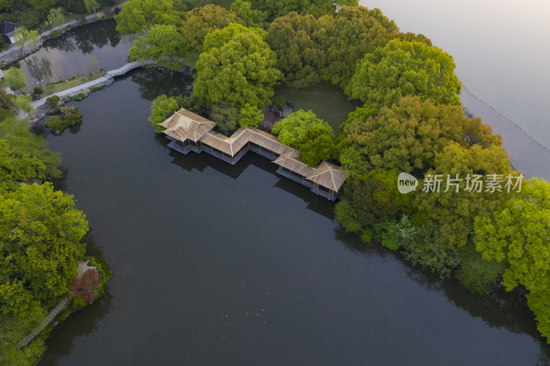 杭州西湖十景之一花港观鱼春天航拍